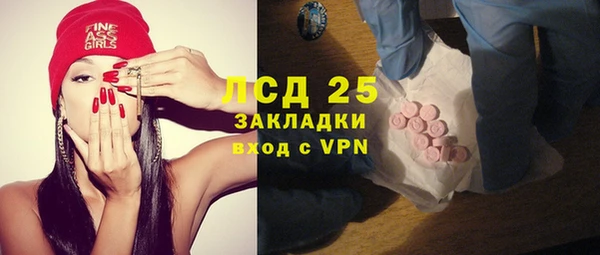 шишки Абаза