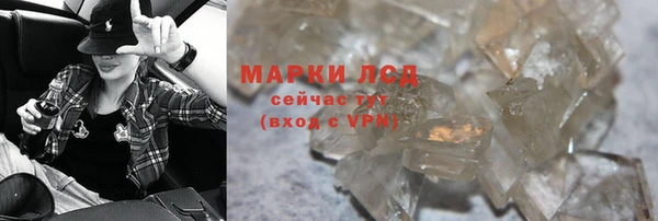 шишки Абаза