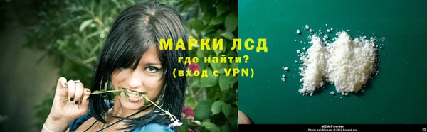 шишки Абаза