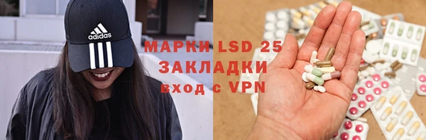 шишки Абаза