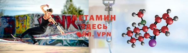 шишки Абаза