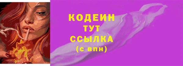 шишки Абаза