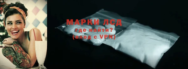 шишки Абаза