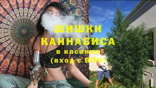 шишки Абаза