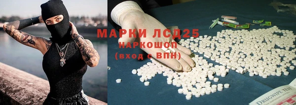 шишки Абаза