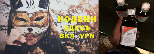 шишки Абаза