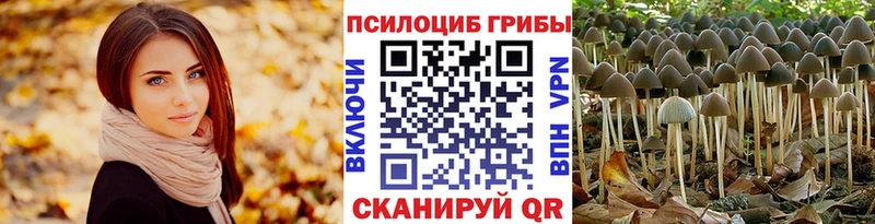 Галлюциногенные грибы Cubensis  гидра онион  Усинск 