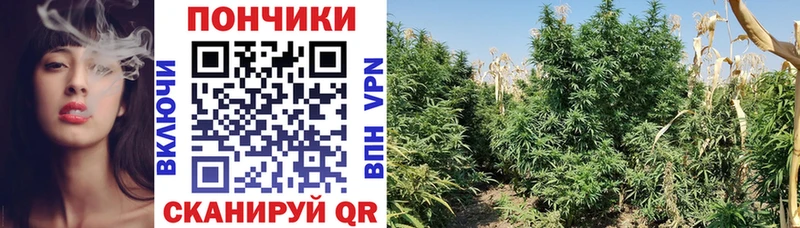 магазин  наркотиков  Усинск  МАРИХУАНА VHQ 